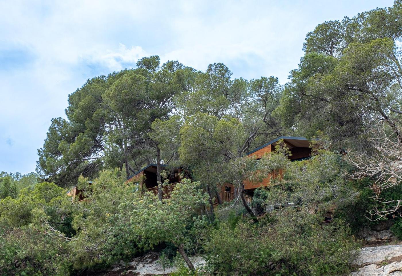 Camping Estival Torre De La Mora Tamarit Dış mekan fotoğraf