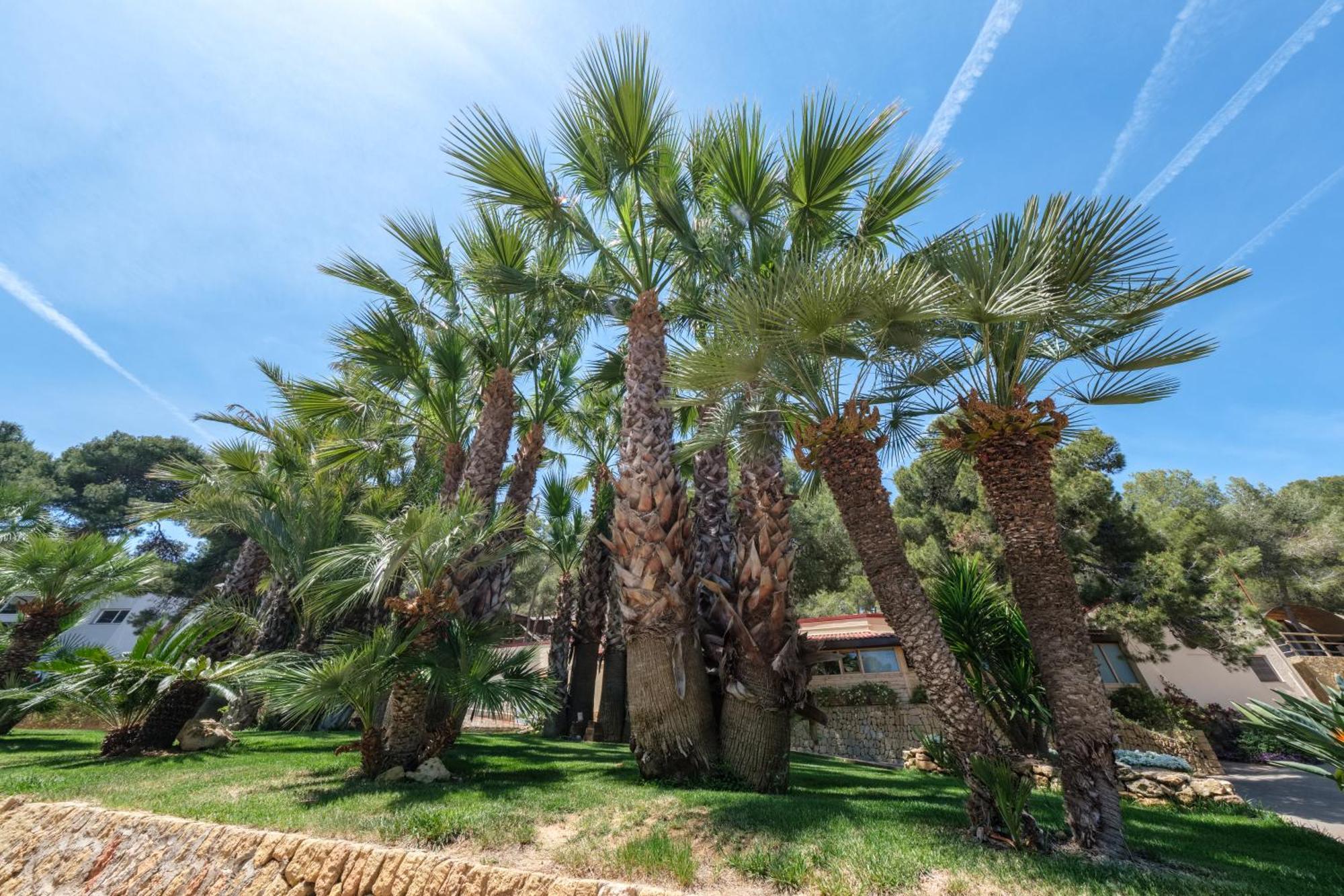 Camping Estival Torre De La Mora Tamarit Dış mekan fotoğraf